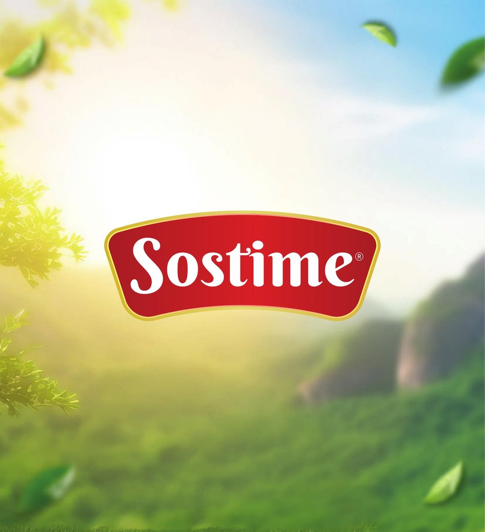 Katalog sayfası